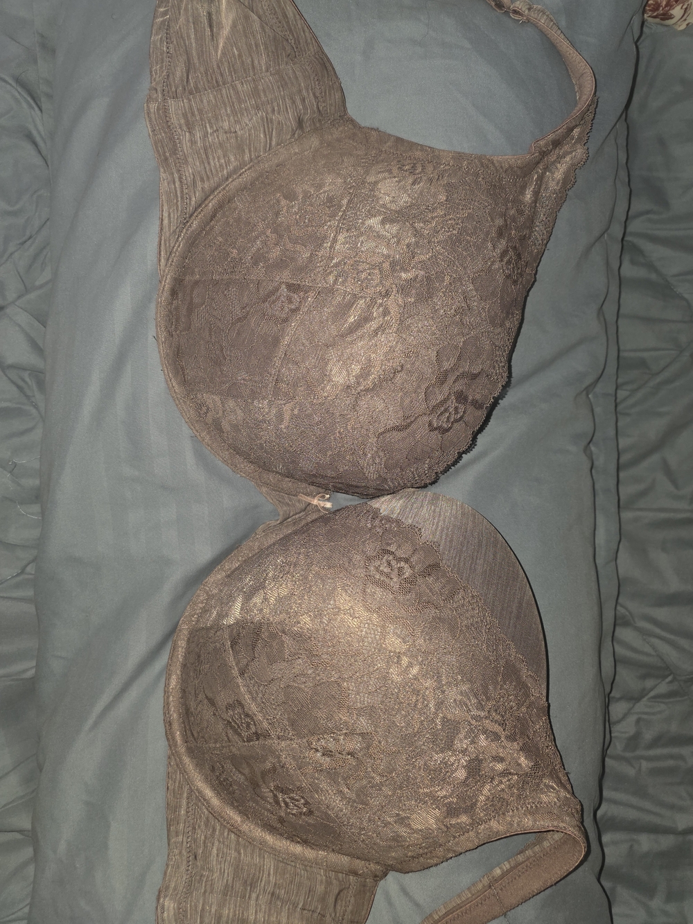 46DDD Cacique Lace Underwire Bra in Taupe